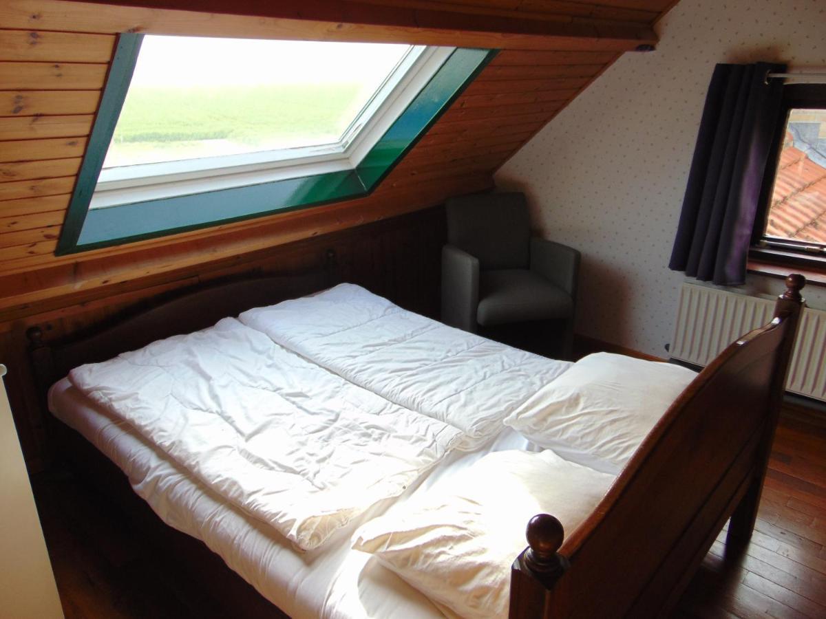 Polderhuis Voor 8-10 Personen Aan Zee نيوفليت المظهر الخارجي الصورة